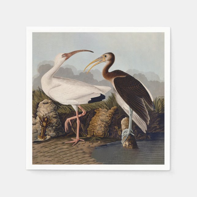 Serviette En Papier John James Audubon White Ibis Bird Print Classic (Devant)
