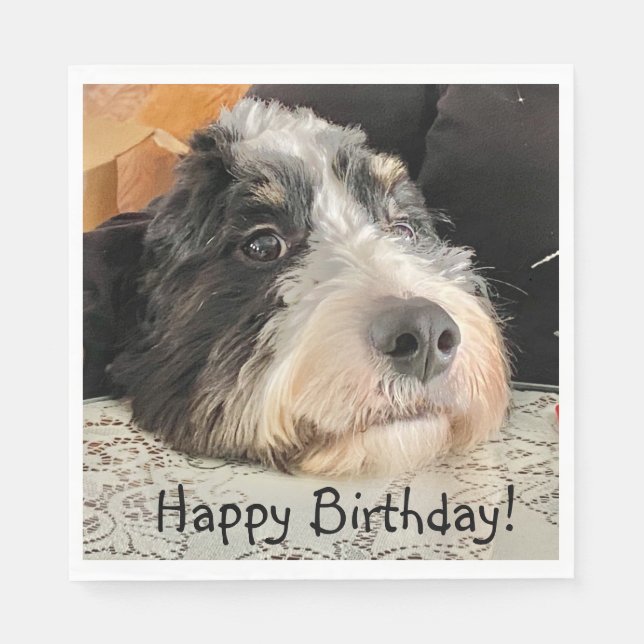 Serviette En Papier Joyeux anniversaire mignon Bernedoodle (Devant)