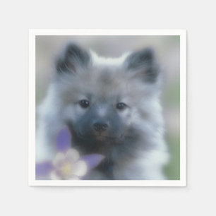 Serviette En Papier Keeshond et Columbine - Photo de chien