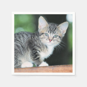 Serviette En Papier Kitten