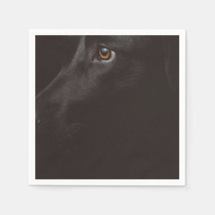 Serviette En Papier laboratoire noir