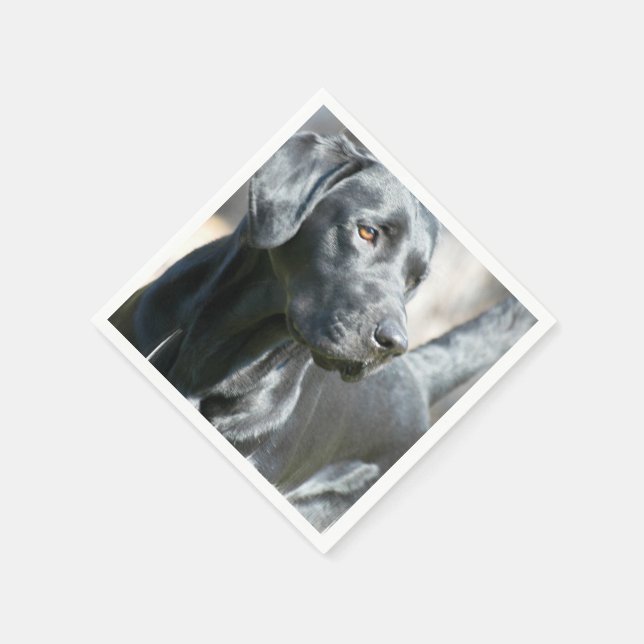 Serviette En Papier Laboratoire noir (Coin)