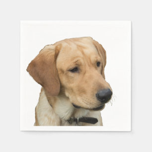 Serviette En Papier Labrador retriever jaune