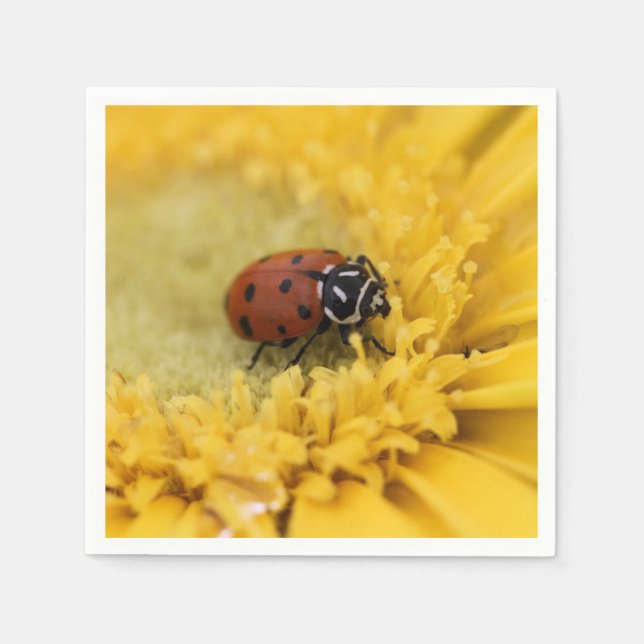 Serviette En Papier Ladybug (Devant)