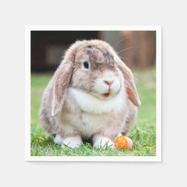 Serviette En Papier lapin à oreilles de lop mignon (Devant)