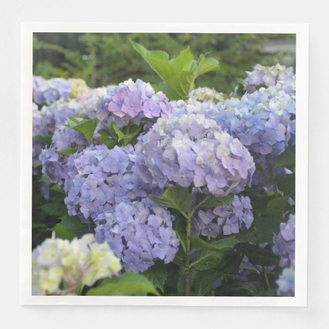 Serviette En Papier Lavande & Lilac Hortensia Hydrangea Fleurs (Devant)