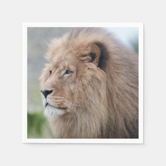 Serviette En Papier L'Embrace du lion (Devant)