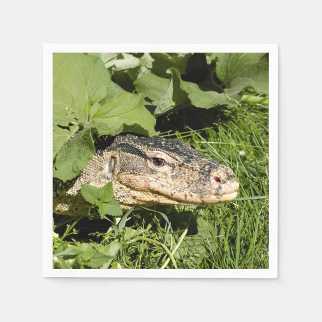 Serviette En Papier Lézard du moniteur d'eau (Devant)