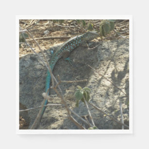 Serviette En Papier Lézard fouetteur d'Aruba Photographie d'animaux tr