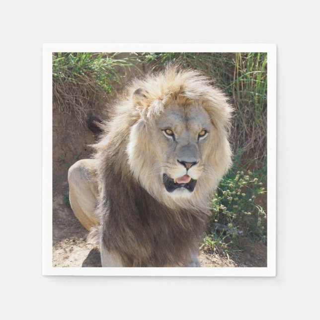 Serviette En Papier Lion assis sur les rochers (Devant)