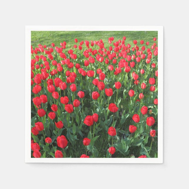 Serviette En Papier Lit des Tulipes rouges 01 (Devant)