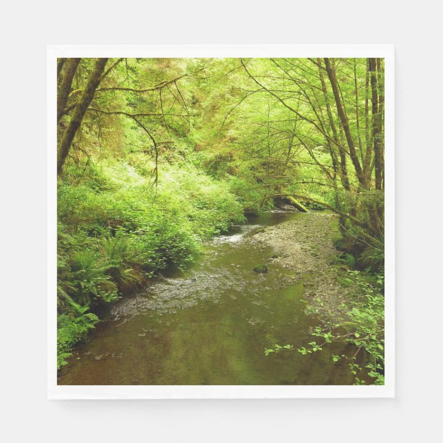 Serviette En Papier Lost Man Creek I au Redwood National Park (Devant)