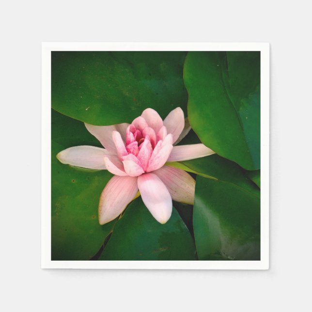 Serviette En Papier Lotus Fleur Fleur Fleur Photo Feuillage vert (Devant)
