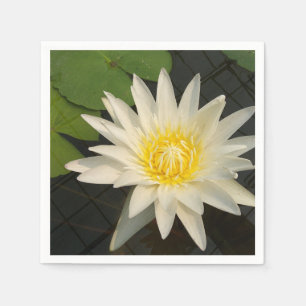 Serviette En Papier lotus, fleur, nature, fleur, floral, plante,