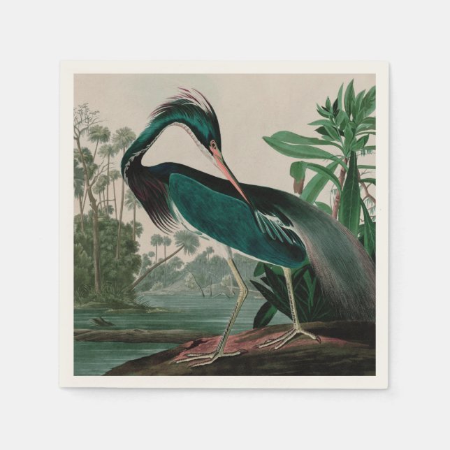 Serviette En Papier Louisiane Heron Birds of America Audubon Print (Devant)