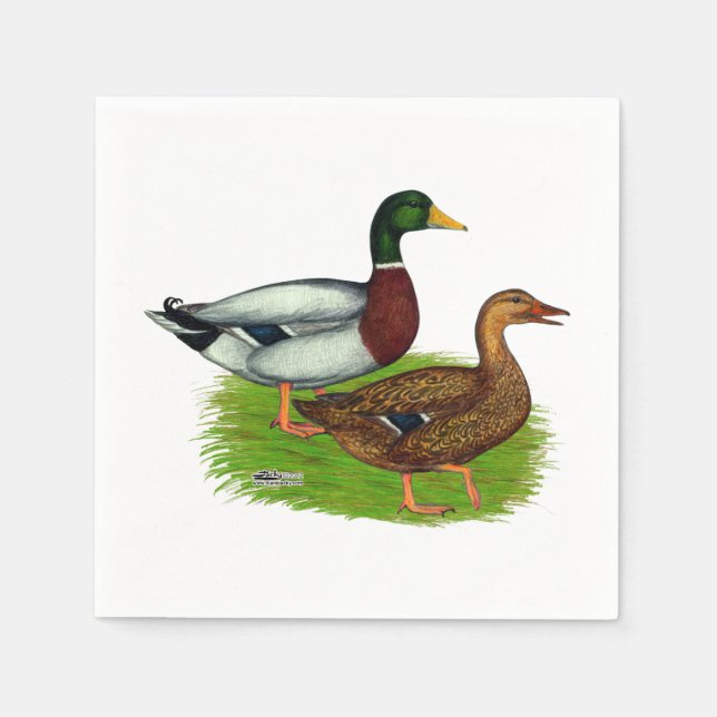Serviette En Papier Mallard Drake et Duck (Devant)