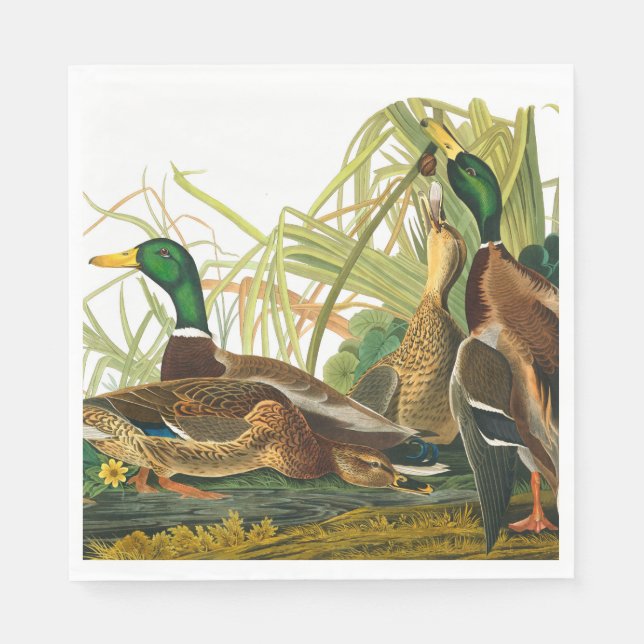 Serviette En Papier Mallard Duck par John James Audubon (Devant)