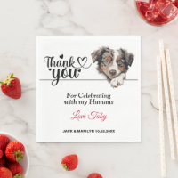 Mariage de chien berger australien Cocktail