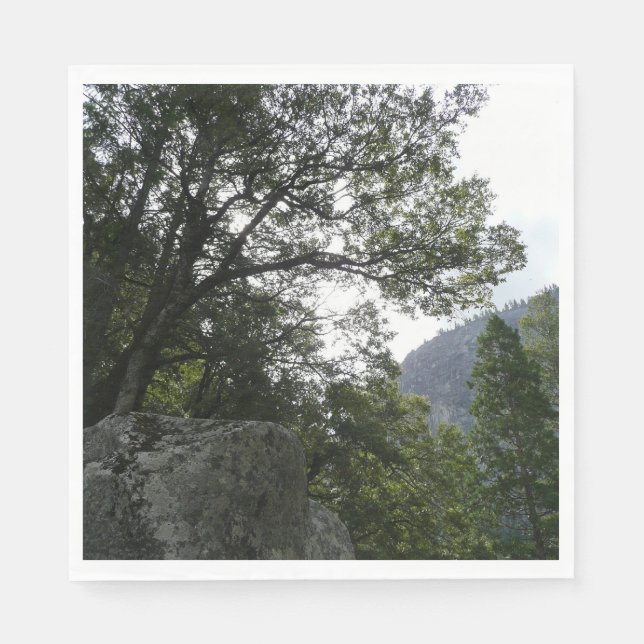 Serviette En Papier Matin sur le sentier à Vernal Falls à Yosemite (Devant)