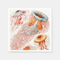 Méduse, Discomedusae par Ernst Haeckel