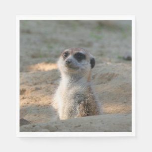 Serviette En Papier Meerkat 004