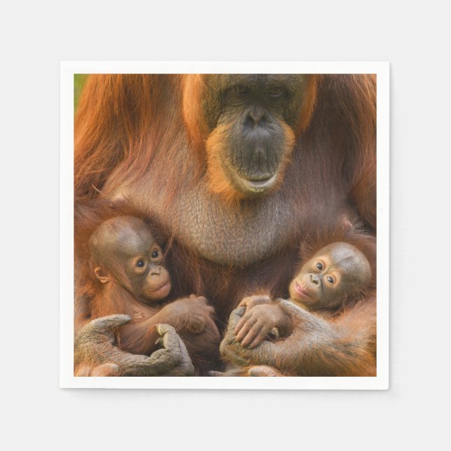 Serviette En Papier Mère orang-outan tenant deux bébés (Devant)