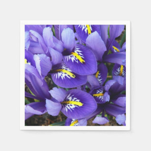 Serviette En Papier Miniature Bleu Irises Printemps Floral