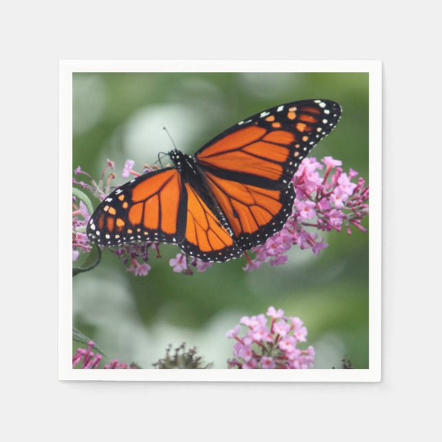 Serviette En Papier Monarque Orange Papillon Floral Photo (Devant)