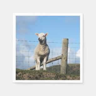 SERVIETTE EN PAPIER MOQUETTE