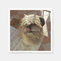 Mouchoirs en papier chien Shih Tzu