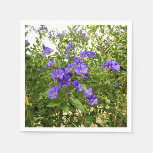 Serviette En Papier Mouchoirs en papier Sisyrinchium angustifolium