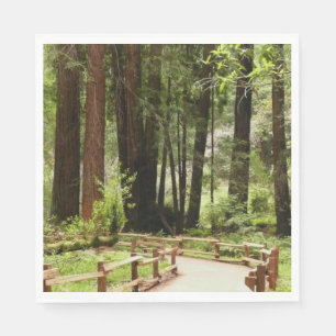 Serviette En Papier Muir Woods Chemin I Nature Photographie