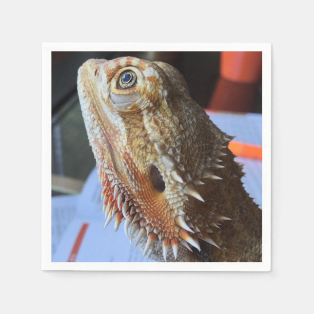 Serviette En Papier Napkin de Dragon Learé (Devant)