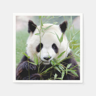 Serviette En Papier Napkins Panda géant photo, animaux 0302.