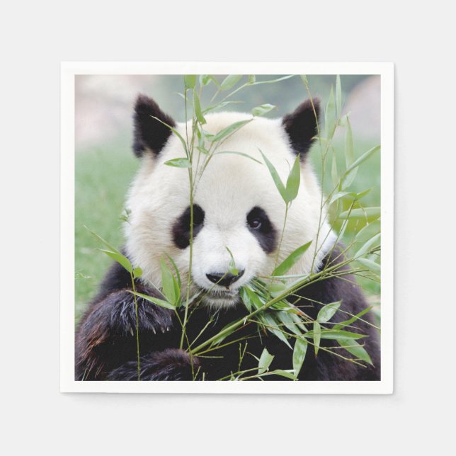 Serviette En Papier Napkins Panda géant photo, animaux 0302. (Devant)
