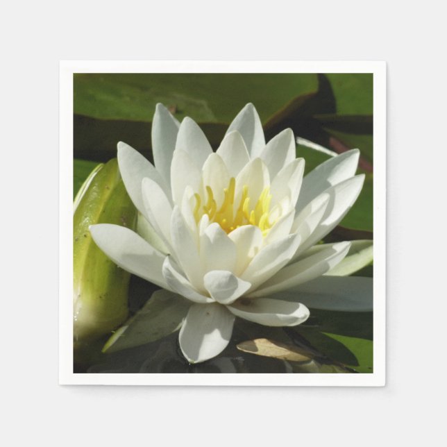 Serviette En Papier Nénuphar blanc et bud Floral (Devant)