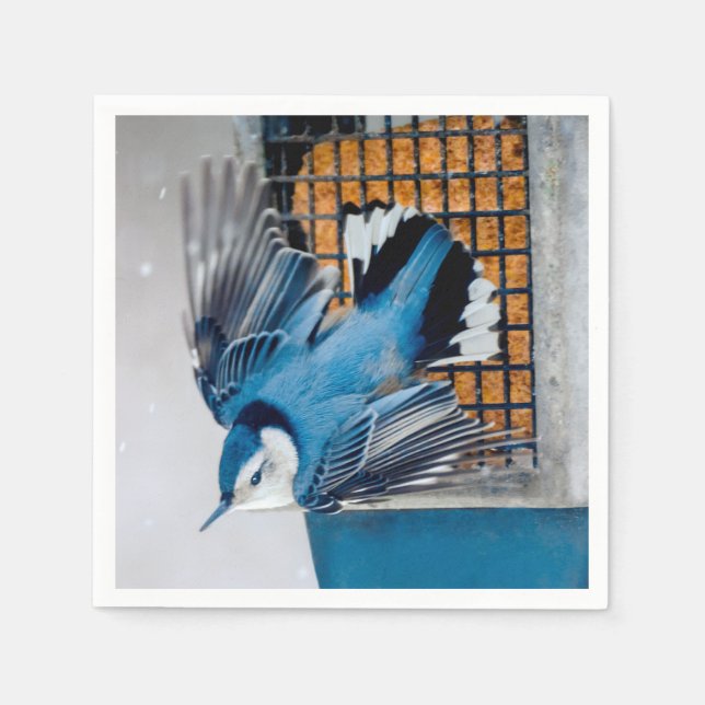Serviette En Papier Nuthatch à poitrine blanche en neige - Photo origi (Devant)