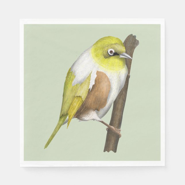 Serviette En Papier Oiseau de Sillvereye tauhou (Devant)
