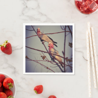Serviette En Papier Oiseaux de Galah dans l'arbre 1