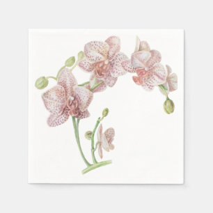 Serviette En Papier Orchidée illustrée à la main