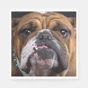 Serviette En Papier Oreillers à lancer de Bulldog anglais