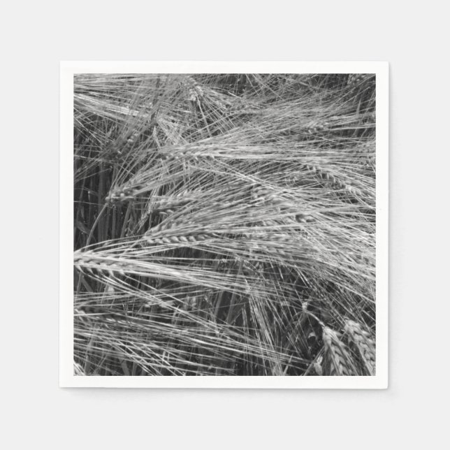 Serviette En Papier Oreilles d'orge mûre (Hordeum vulgare) (Devant)