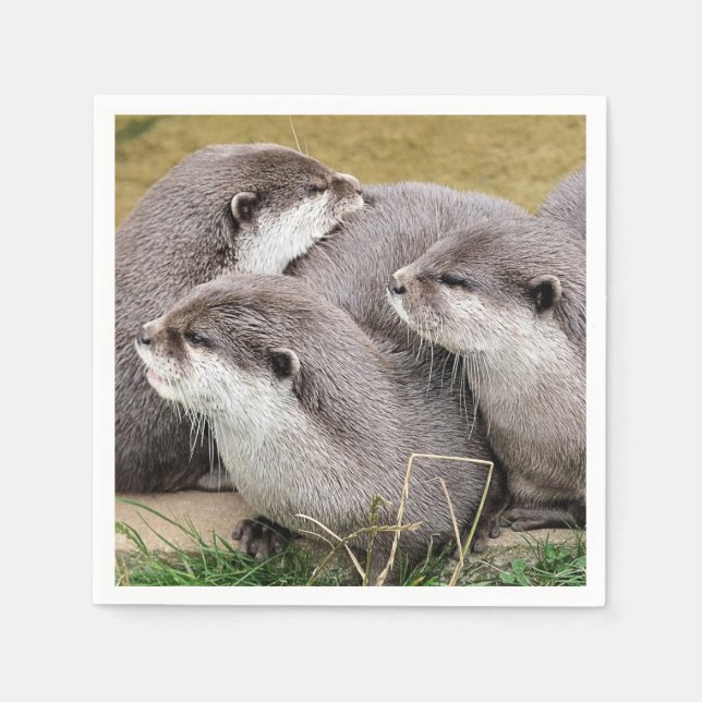 SERVIETTE EN PAPIER OTTERS COUPÉS (Devant)
