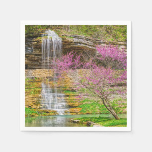 Serviette En Papier Ozarks Waterfall Spring Bluff