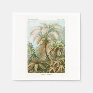 Serviette En Papier Palmier Ernst Haeckel