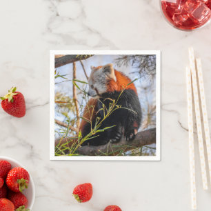 Serviette En Papier Panda rouge