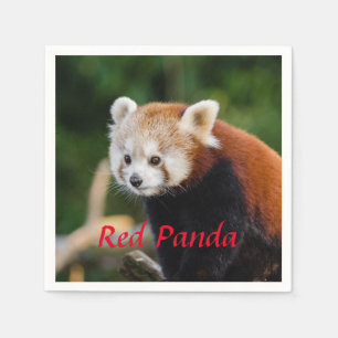 Serviette En Papier Panda roux