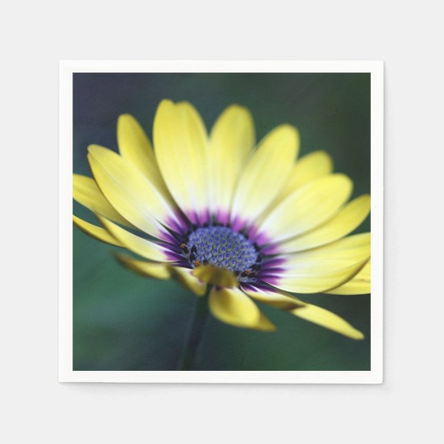 Serviette En Papier Papier central jaune violet Napkin (Devant)