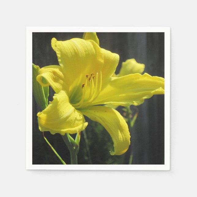 Serviette En Papier Papier Jaune Jaune Jaune (Devant)