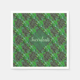 Serviette En Papier Papier Motif en treillis vert Succulents